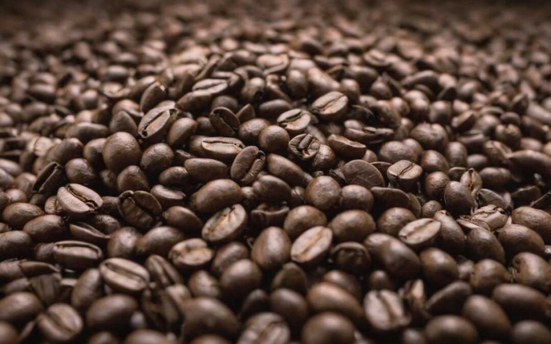 La montée en puissance du café en grain pas cher sur le marché B2B